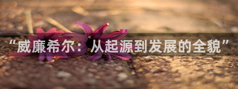 BB贝博艾弗森平台：“威廉希尔：从起源到发展的全貌”