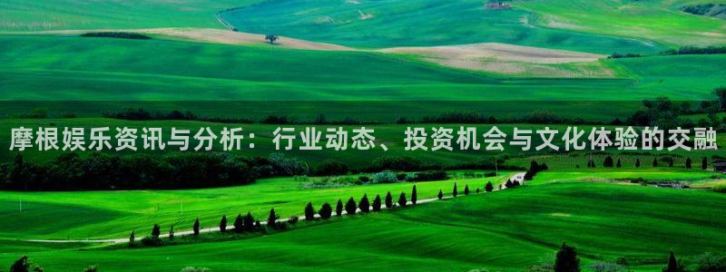 BB贝博艾弗森网页版登：摩根娱乐资讯与分析：行业动态、投资机会与文化体验的交融
