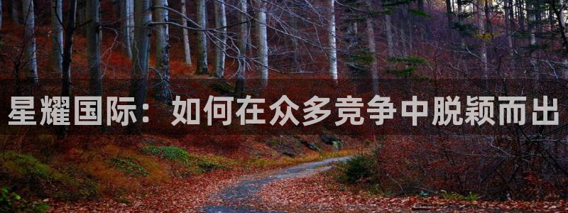 BB贝博艾弗森在线下载：星耀国际：如何在众多竞争中脱颖而出