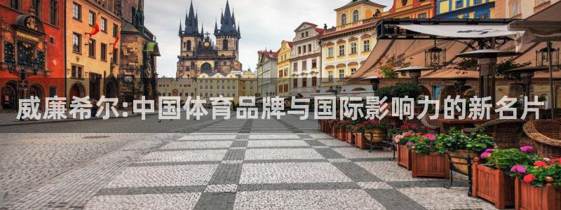 BB贝博艾弗森下载链接是多少：威廉希尔:中国体育品牌与国际影响力的新名片
