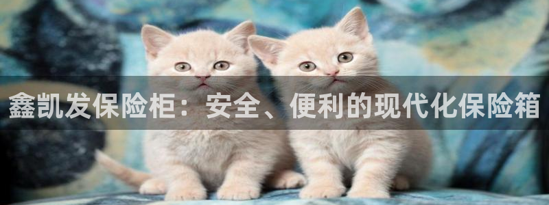 BB贝博艾弗森平台注册：鑫凯发保险柜：安全、便利的现代化保险箱