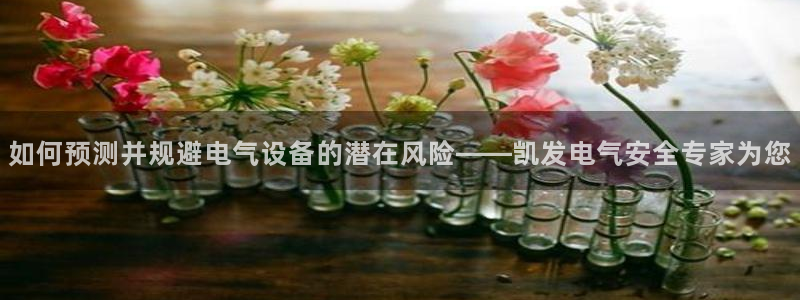 BB贝博艾弗森账号注册入口：如何预测并规避电气设备的潜在风险——凯发电气安全专家