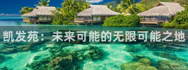 BB贝博艾弗森体育老板是谁：凯发苑：未来可能的无限可能之地