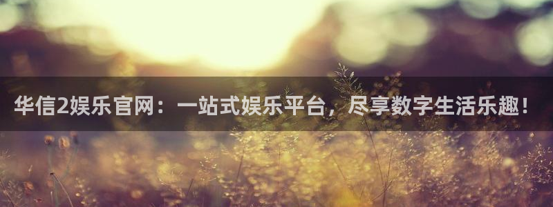 BB贝博艾弗森体育网页版入口：华信2娱乐官网：一站式娱乐平台，尽享数字生活乐趣！