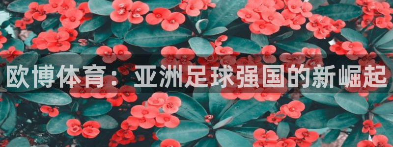 BB贝博艾弗森3平台登录注册：欧博体育：亚洲足球强国的新崛起