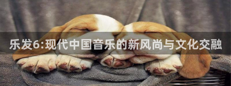 BB贝博艾弗森集团：乐发6:现代中国音乐的新风尚与文化交融