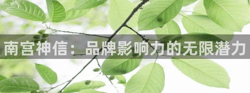 BB贝博艾弗森登录界面入口：南宫神信：品牌影响力的无限潜力