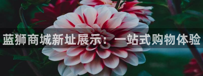 BB贝博艾弗森平台：蓝狮商城新址展示：一站式购物体验