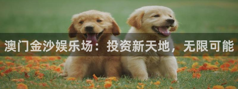 BB贝博艾弗森下载链接是多少：澳门金沙娱乐场：投资新天地，无限可能