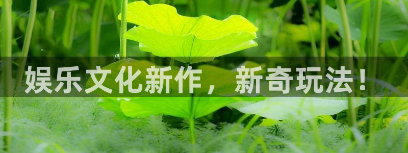 BB贝博艾弗森体育官网入口登录：娱乐文化新作，新奇玩法！