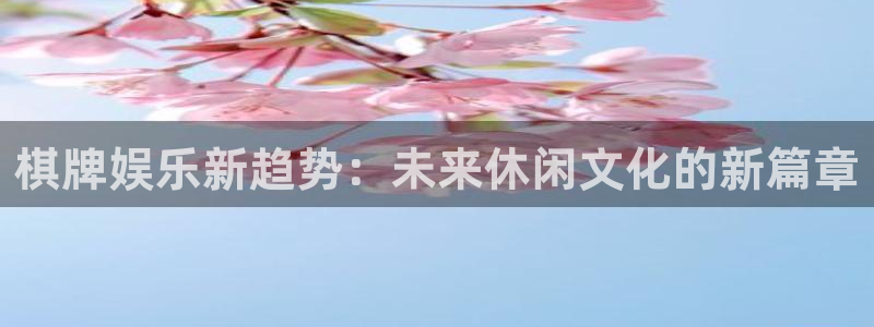 BB贝博艾弗森游戏试玩：棋牌娱乐新趋势：未来休闲文化的新篇章