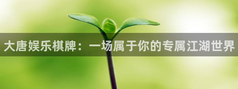BB贝博艾弗森官网版：大唐娱乐棋牌：一场属于你的专属江湖世界