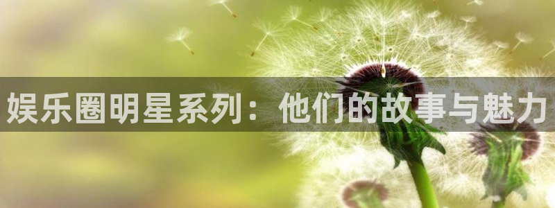 BB贝博艾弗森网站：娱乐圈明星系列：他们的故事与魅力