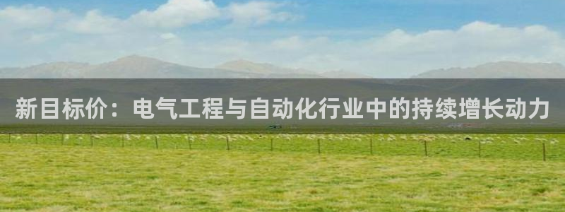 BB贝博艾弗森注册：新目标价：电气工程与自动化行业中的持续增长动力