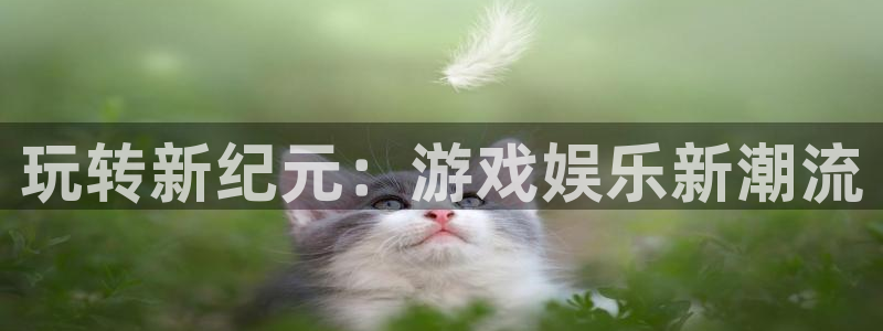 BB贝博艾弗森登录：玩转新纪元：游戏娱乐新潮流