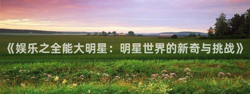 BB贝博艾弗森注册网站：《娱乐之全能大明星：明星世界的新奇与挑战》