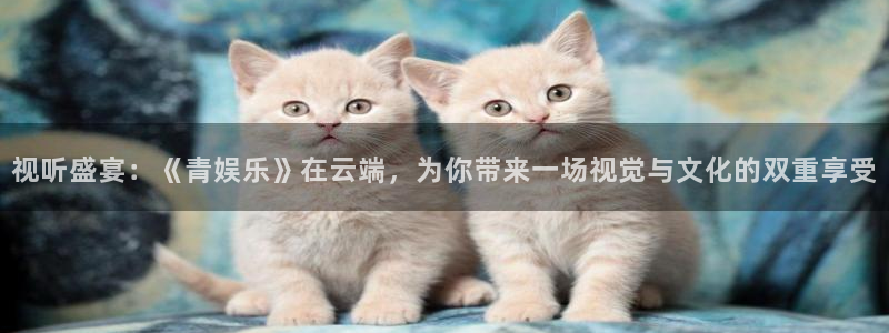 BB贝博艾弗森2登录：视听盛宴：《青娱乐》在云端，为你带来一场视觉与文化的双重享