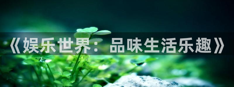 BB贝博艾弗森体育网页版入口：《娱乐世界：品味生活乐趣》