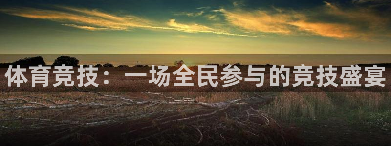 BB贝博艾弗森官网地址：体育竞技：一场全民参与的竞技盛宴