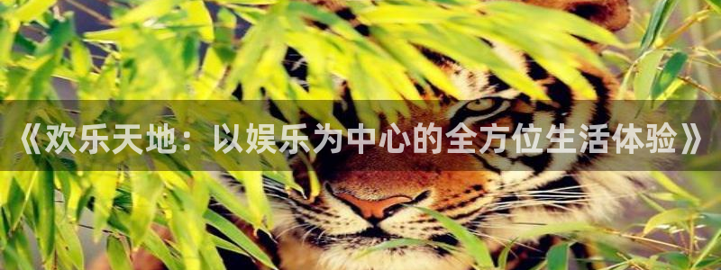 BB贝博艾弗森体育网页版入口：《欢乐天地：以娱乐为中心的全方位生活体验》
