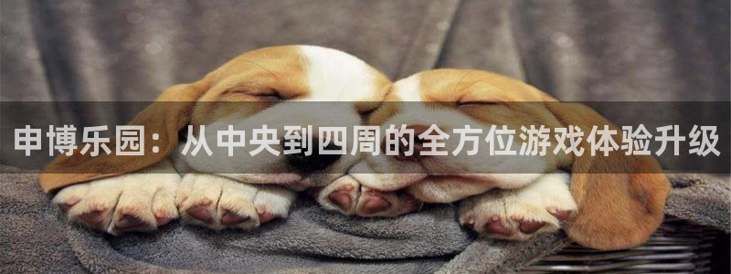 BB贝博艾弗森体育官网入口登录：申博乐园：从中央到四周的全方位游戏体验升级
