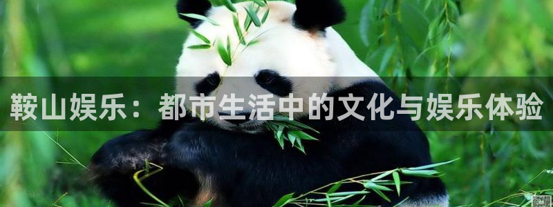 BB贝博艾弗森体育凯捷平台主管：鞍山娱乐：都市生活中的文化与娱乐体验
