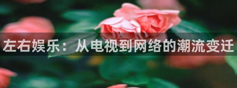 BB贝博艾弗森电子游戏网页版：左右娱乐：从电视到网络的潮流变迁