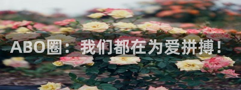 BB贝博艾弗森2注册：ABO圈：我们都在为爱拼搏！
